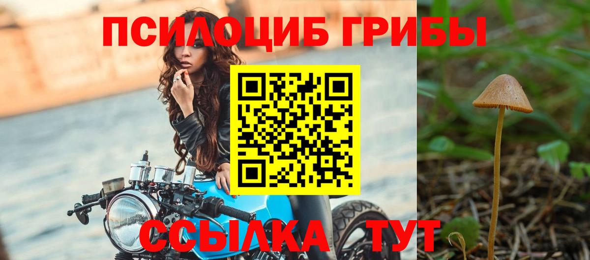 где купить наркоту  Псилоцибиновые грибы MAGIC MUSHROOMS  Вход с VPN  Нерюнгри 